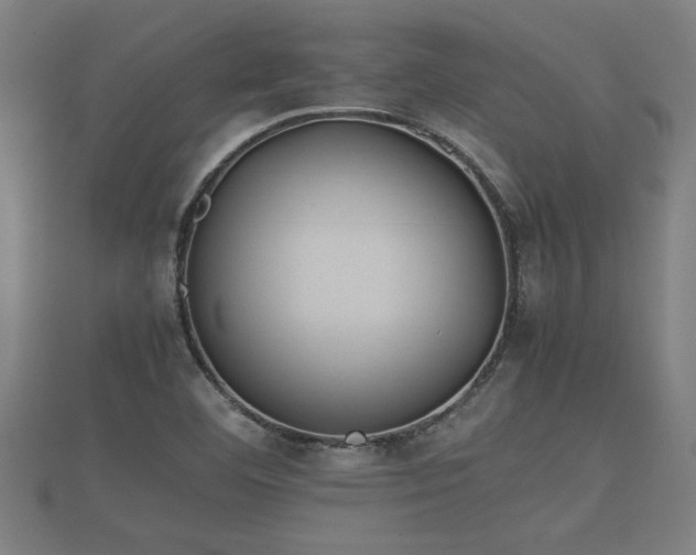 X0000112401460200908211105
