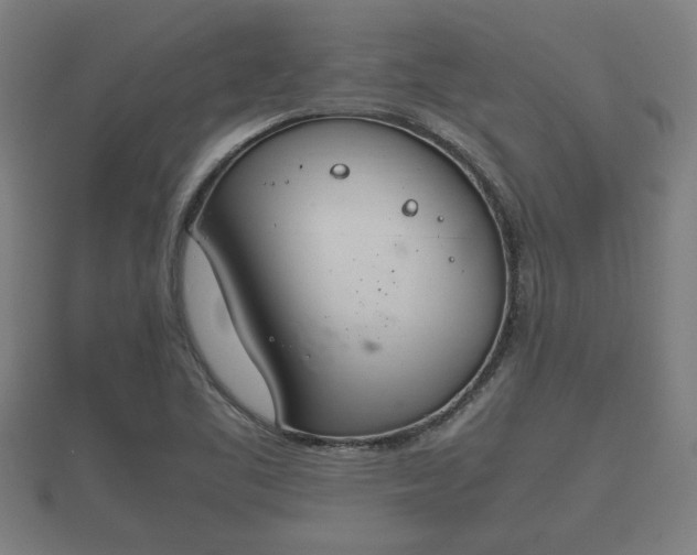 X0000112401461200908211105