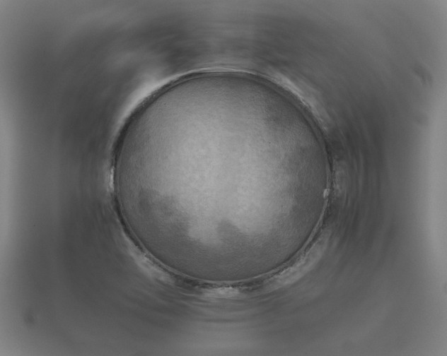 X0000112401462200908211105