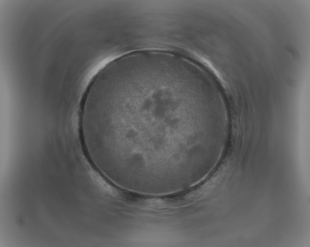 X0000112401463200908211104