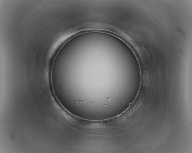 X0000112401464200908211104