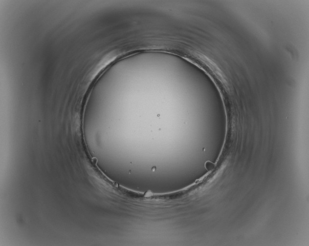 X0000112401465200908211104