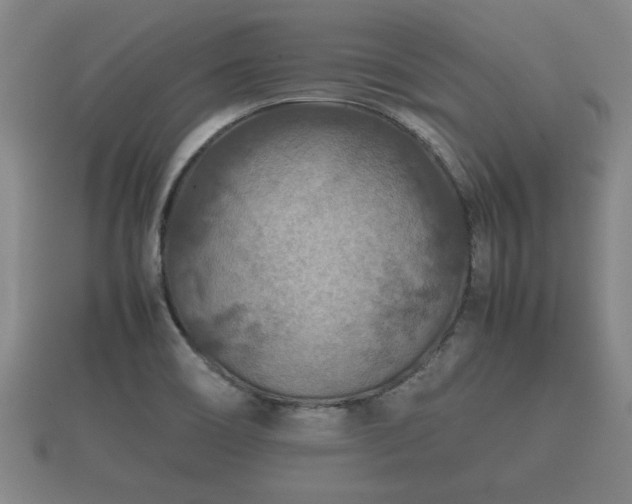 X0000112401466200908211104