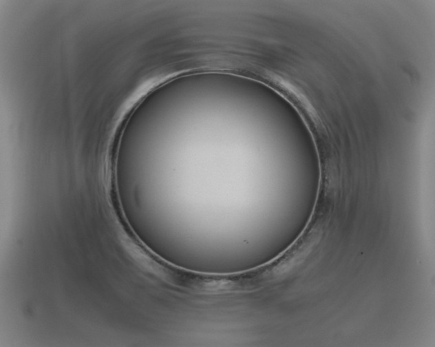 X0000112401467200908211104