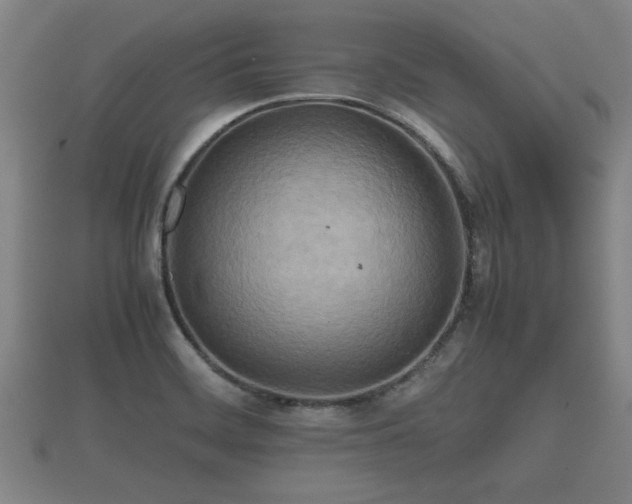 X0000112401468200908211104