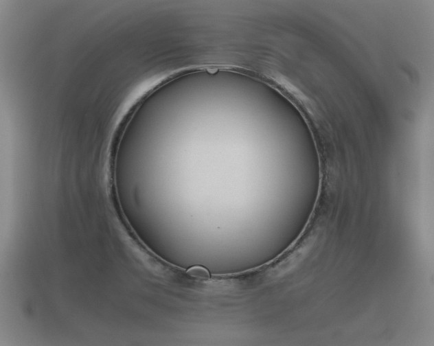 X0000112401469200908211104