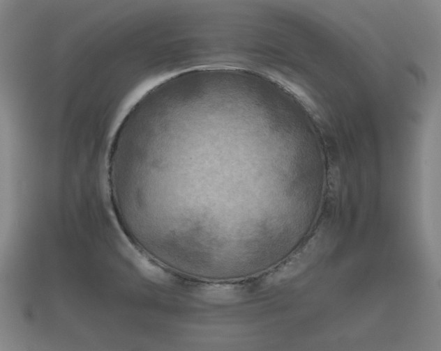 X0000112401470200908211104