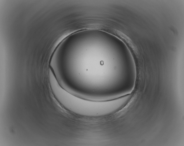 X0000112401473200908211104
