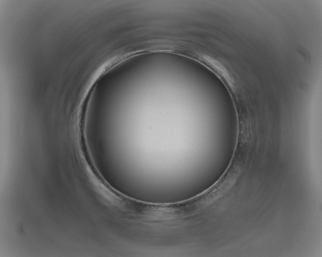 X0000112401475200908211104