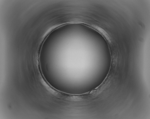 X0000112401476200908211104