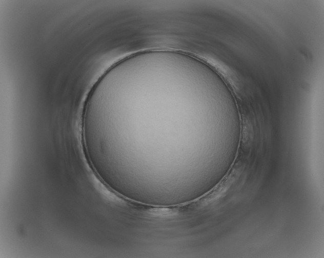 X0000112401478200908211104