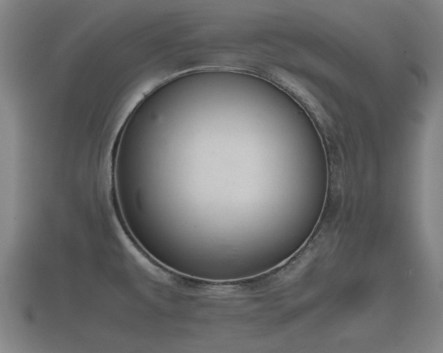 X0000112401479200908211104