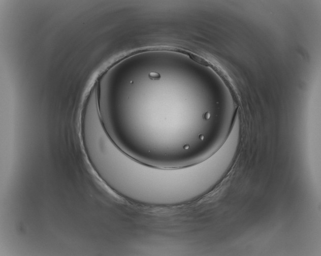 X0000112401480200908211104