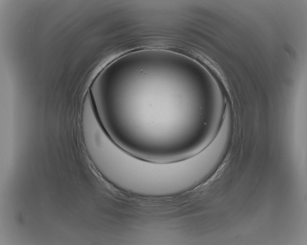 X0000112401481200908211104