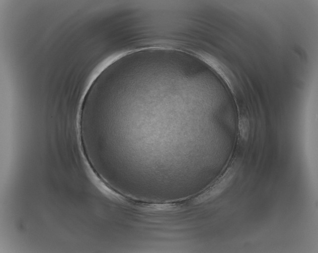 X0000112401482200908211104