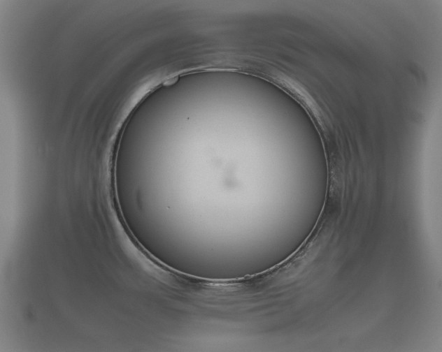 X0000112401483200908211104