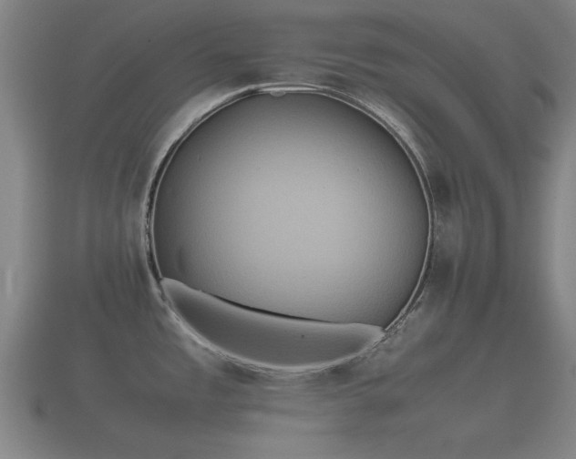 X0000112401485200908211104