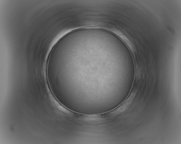 X0000112401486200908211104