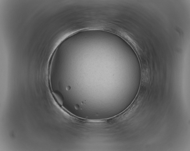 X0000112401487200908211104