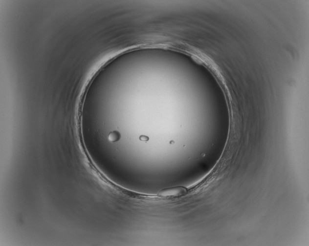 X0000112401488200908211104