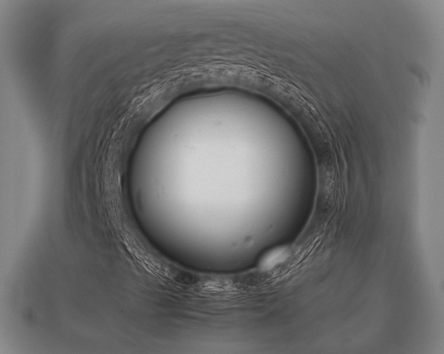 X0000112401489200908211103