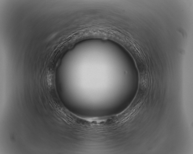 X0000112401490200908211103