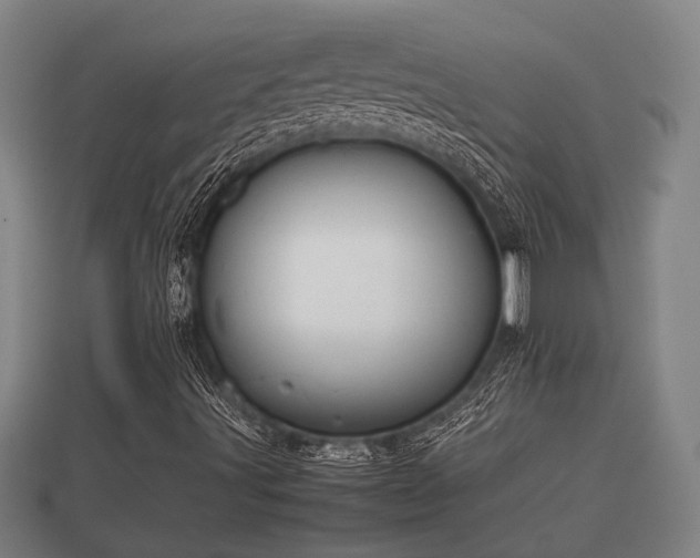 X0000112401491200908211103