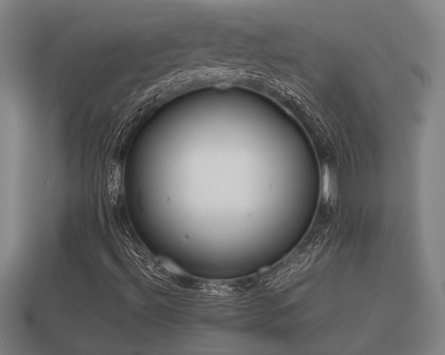 X0000112401492200908211103