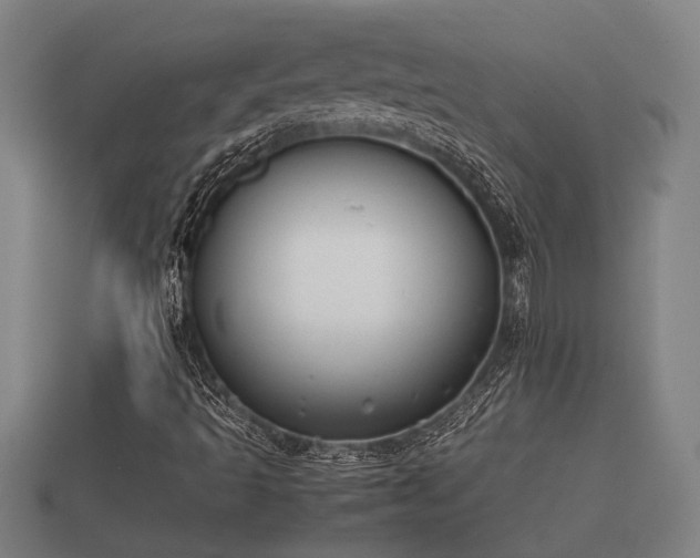 X0000112401493200908211103