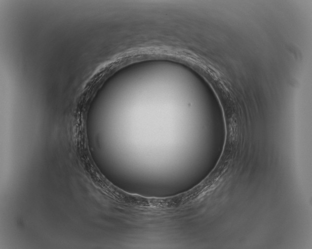 X0000112401494200908211103
