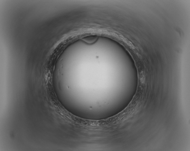 X0000112401495200908211103