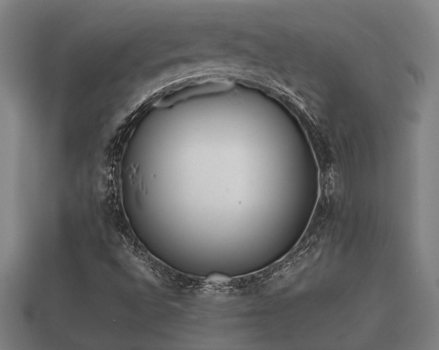 X0000112401496200908211103