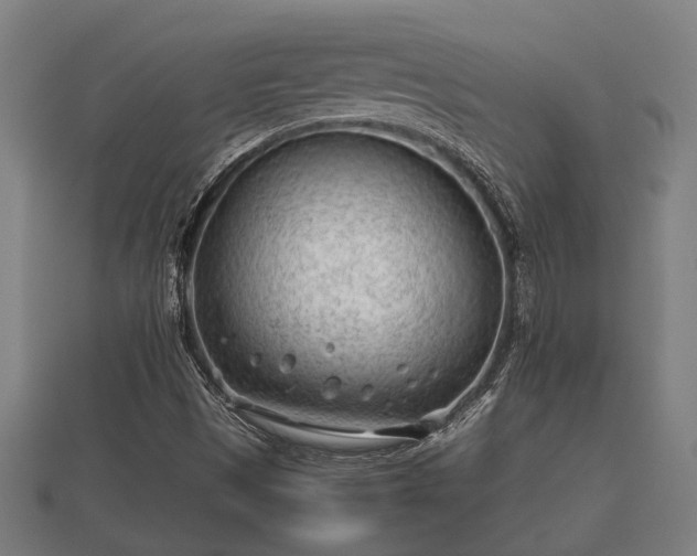 X0000112401497200908211103