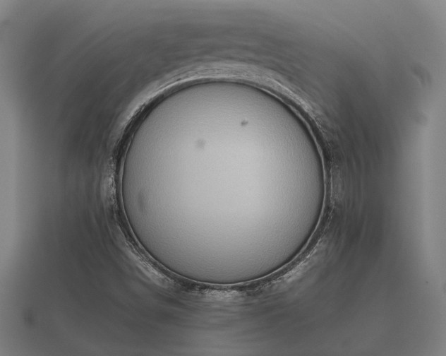 X0000112401498200908211104