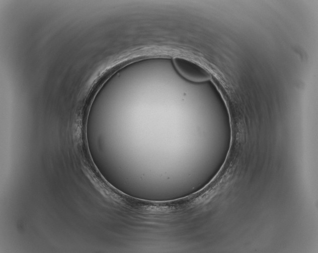 X0000112401499200908211104