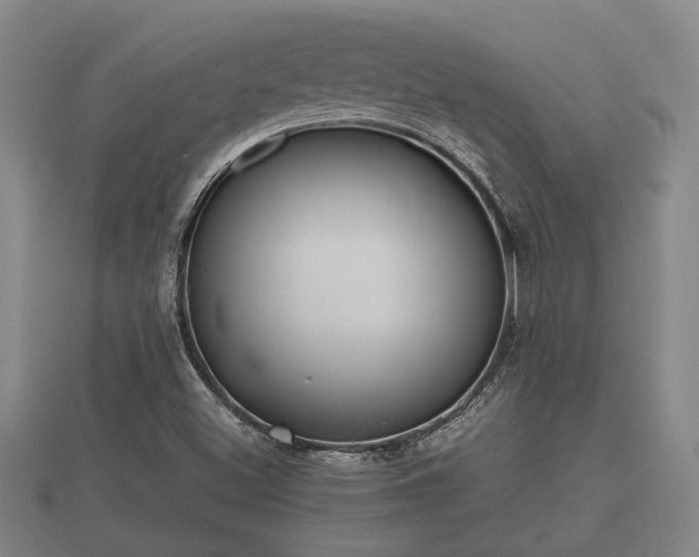 X0000112401500200908211104