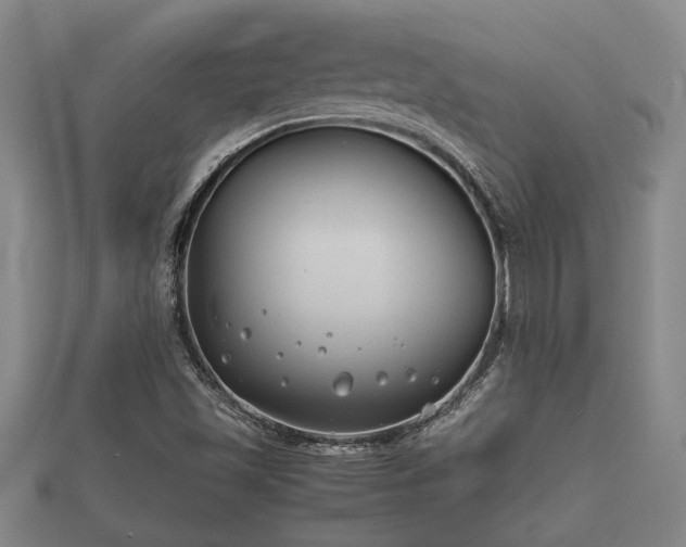 X0000112401501200908211104