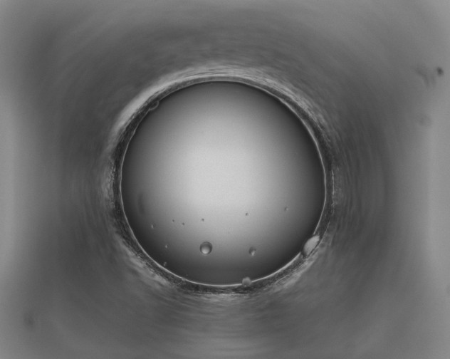 X0000112401502200908211104
