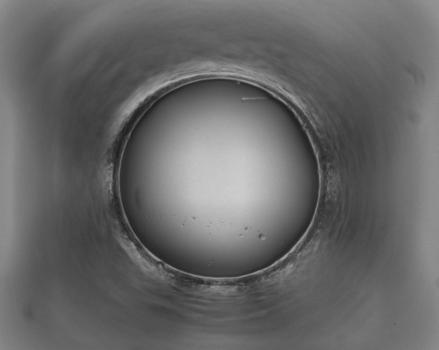 X0000112401503200908211104