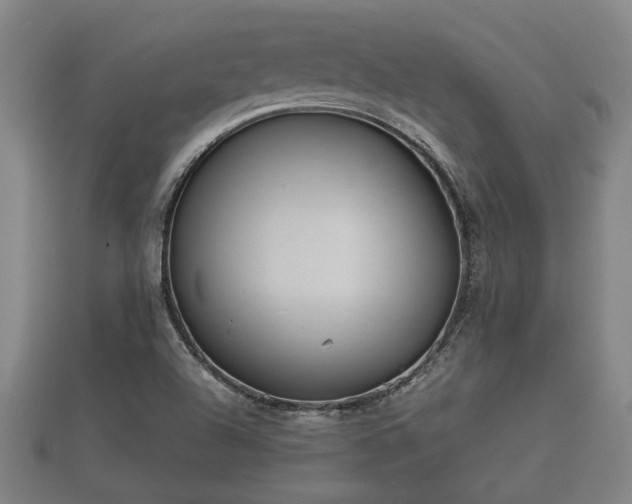 X0000112401504200908211104