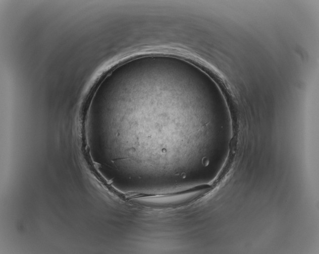 X0000112401506200908211104