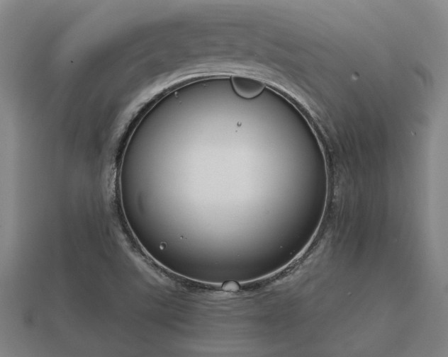 X0000112401507200908211104