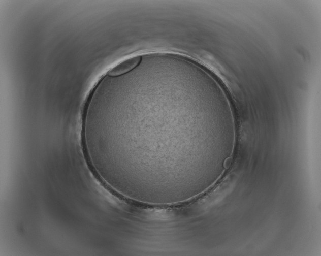 X0000112401508200908211104