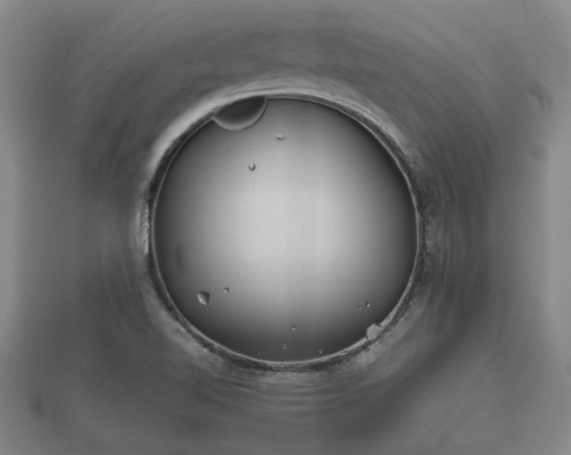X0000112401510200908211104