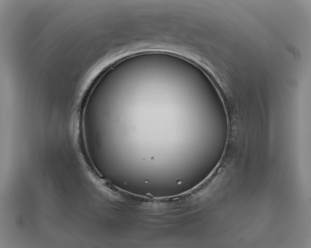 X0000112401511200908211104