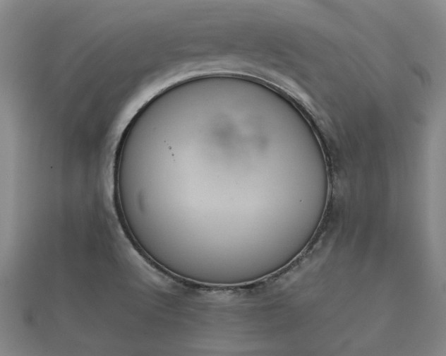 X0000112401512200908211104