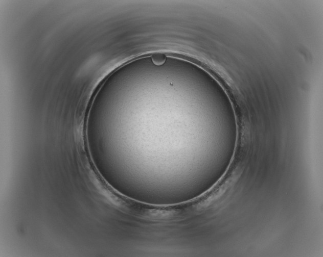 X0000112401513200908211104
