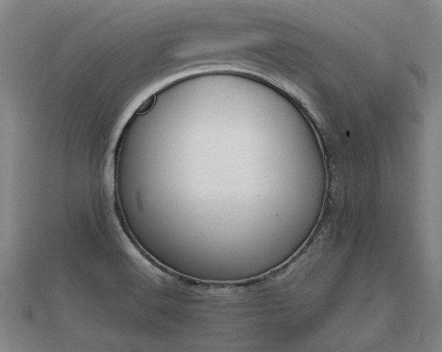 X0000112401516200908211104