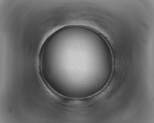 X0000112401517200908211104