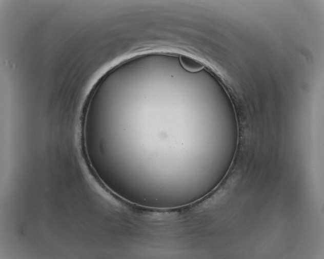 X0000112401518200908211104